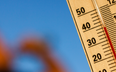 Canicule au travail : quelles obligations pour l’employeur ?